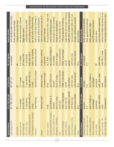 2008 Roadtrek Full Line Brochure page 24