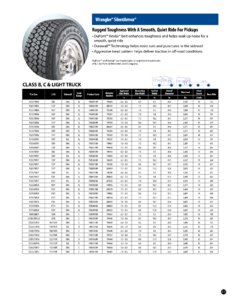 2010 Goodyear RV Tire Care Guide page 17
