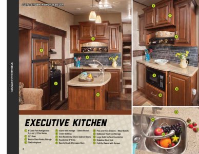 2014 Keystone RV Cougar Eastern Edition Brochure page 4