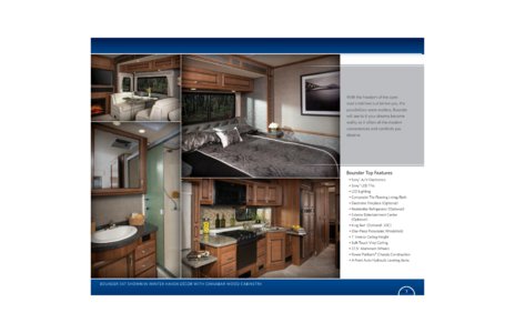 2015 Fleetwood Bounder Brochure page 3