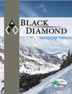 2017 Forest River Black Diamond Brochure page 1