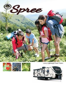 2017 KZ RV Spree Brochure page 1