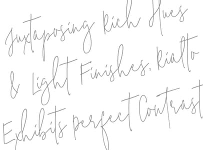 2019 Newmar Essex Brochure page 3