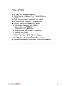 2025 Renegade RV Vienna Brochure page 29